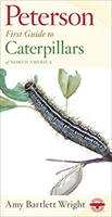 First Guide to Caterpillars