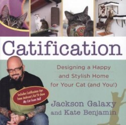 Catification