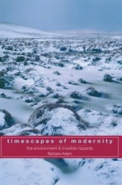 Timescapes of Modernity