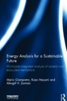 Energy Analysis for a Sustainable Future