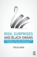 Risk, Surprises and Black Swans