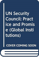 UN Security Council