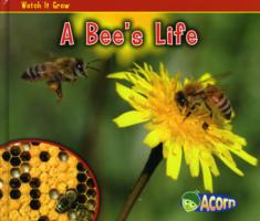 Bee's Life