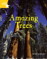 Fantastic Forest: Amazing Trees Yellow Level Non-Fiction (Pack of 6)