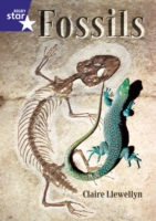 Rigby Star Shared Year 2/P3 Non-Fiction: Fossils Shared Reading Pack Framework Edition