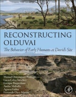 Reconstructing Olduvai