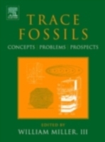 Trace Fossils