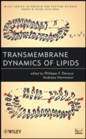 Transmembrane Dynamics of Lipids