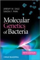 Molecular Genetics of Bacteria