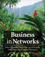 Business in Networks