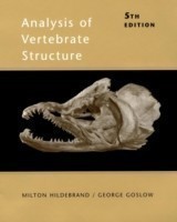 Analysis of Vertebrate Structure