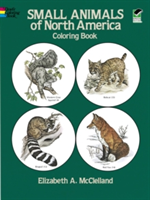 Small Animals of North America Coloring Book