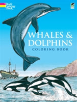 Whales and Dolphins: Colouring Book