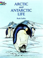 Arctic and Antarctic Life Coloring Book