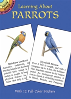 Learning about Parrots