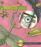 Insects