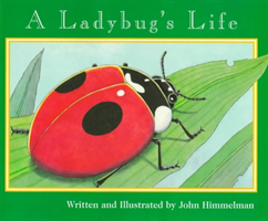Ladybug's Life (Nature Upclose)