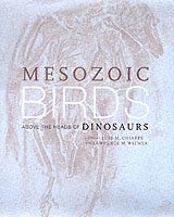 Mesozoic Birds