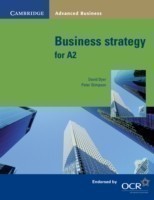 Business Strategy for A2