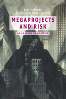 Megaprojects and Risk