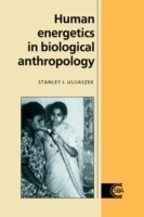 Human Energetics in Biological Anthropology