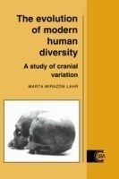 Evolution of Modern Human Diversity