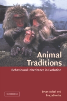 Animal Traditions