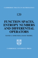 Function Spaces, Entropy Numbers, Differential Operators