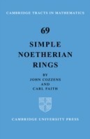 Simple Noetherian Rings