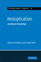 Reduplication Doubling in Morphology