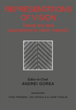 Representations of Vision