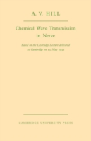 Chemical Wave Transmission in Nerve