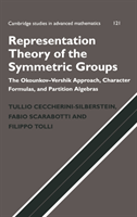 Representation Theory of the Symmetric Groups