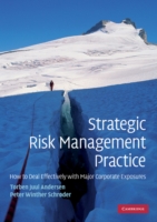 Strategic Risk Management Practice