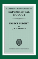 Insect Flight