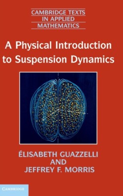 Physical Introduction to Suspension Dynamics