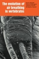 Evolution of Air Breathing in Vertebrates