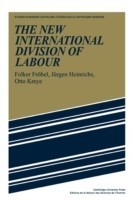 New International Division of Labour