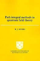 Path Integral Methods in Quantum Field Theory