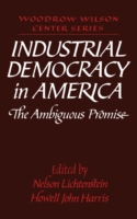 Industrial Democracy in America