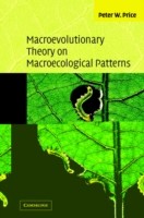 Macroevolutionary Theory on Macroecological Patterns