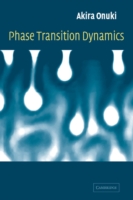 Phase Transition Dynamics