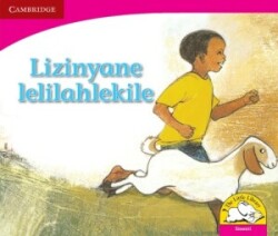 Lizinyane lelilahlekile (Siswati)