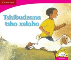 Tshibudzana tsho xelaho (Tshivenda)