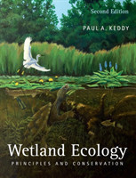 Wetland Ecology