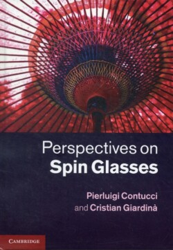 Perspectives on Spin Glasses