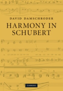 Harmony in Schubert