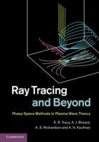 Ray Tracing and Beyond