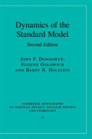 Dynamics of the Standard Model