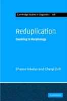 Reduplication Doubling in Morphology